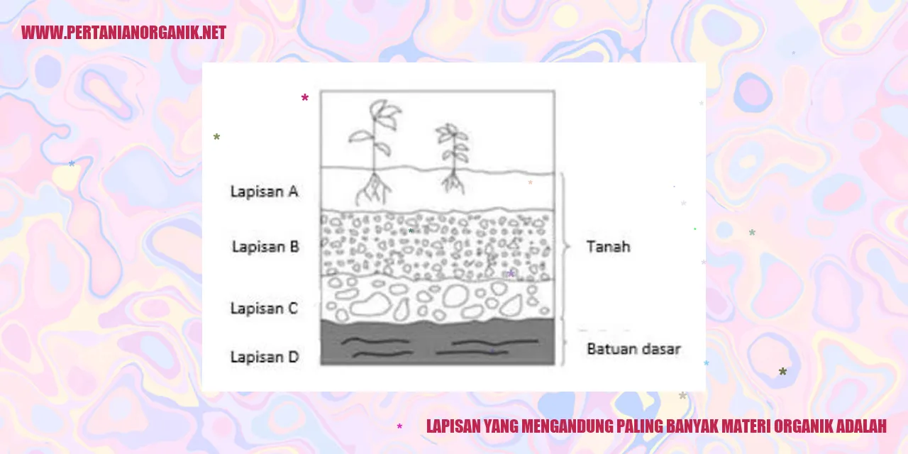 Lapisan yang Mengandung Paling Banyak Materi Organik adalah