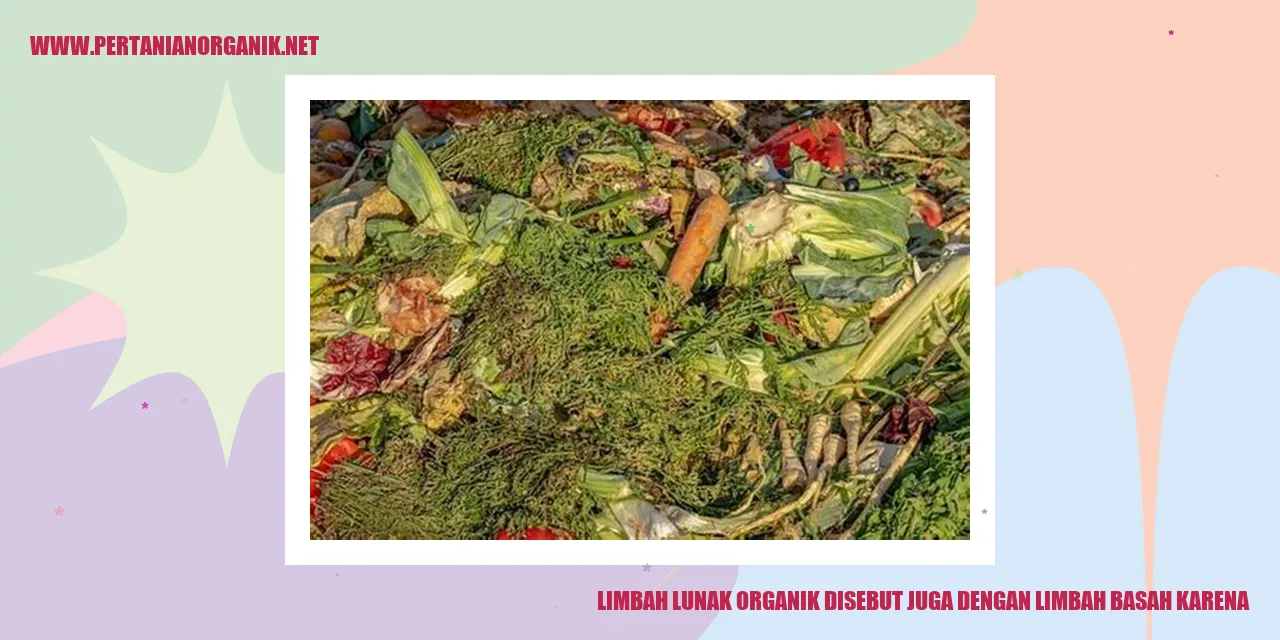 Limbah Lunak Organik