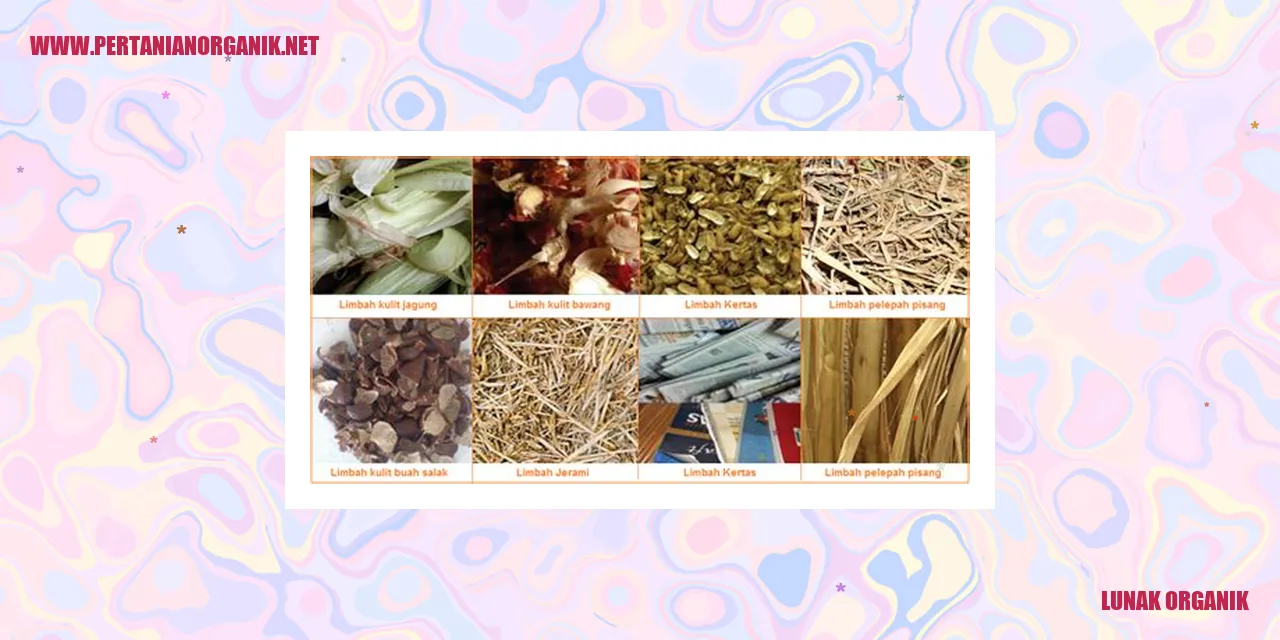 Bahan Kimia dalam Produk Perawatan Tubuh