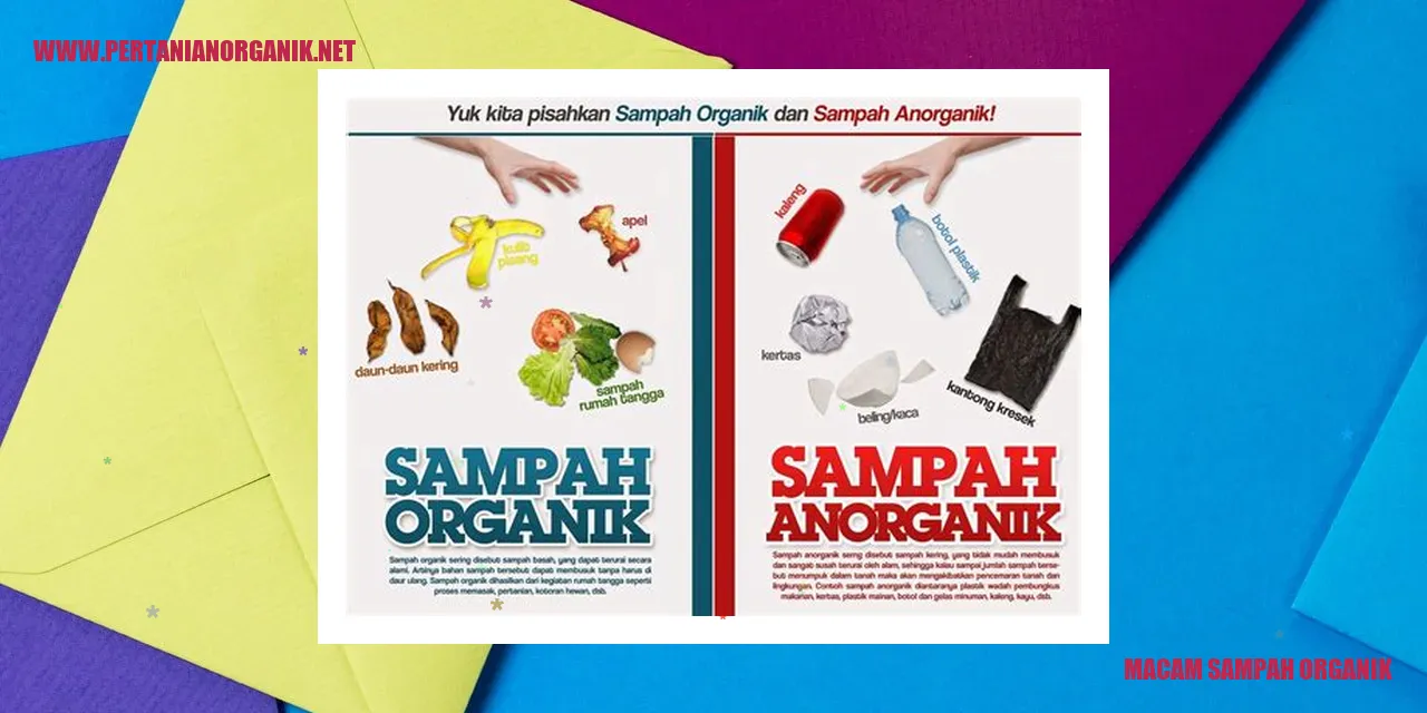 Macam Sampah Organik