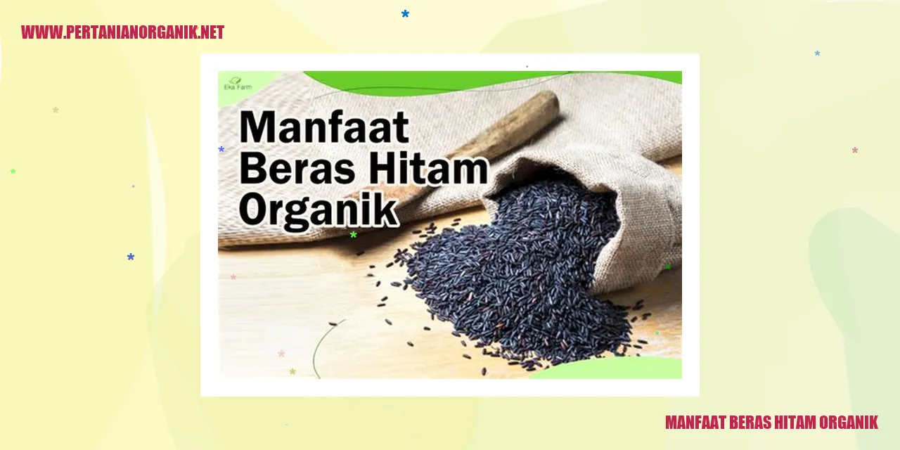 Beras Hitam Organik
