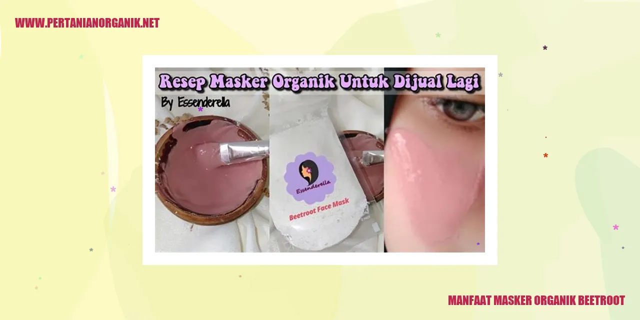 Manfaat Masker Organik Beetroot