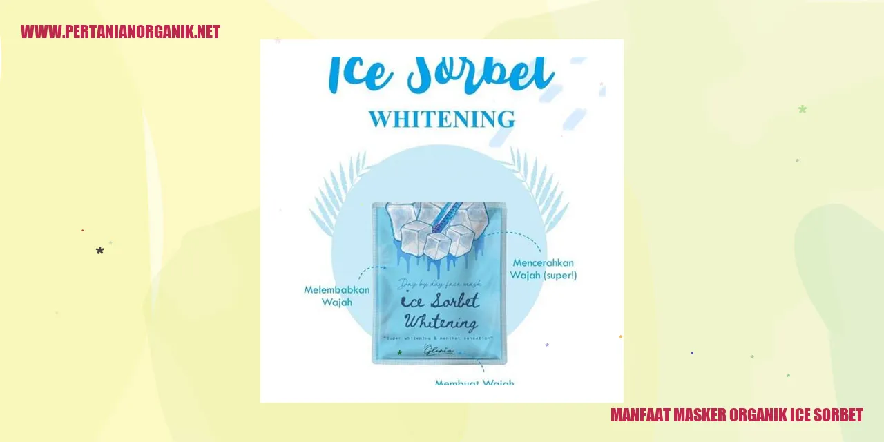 Manfaat Masker Organik Ice Sorbet
