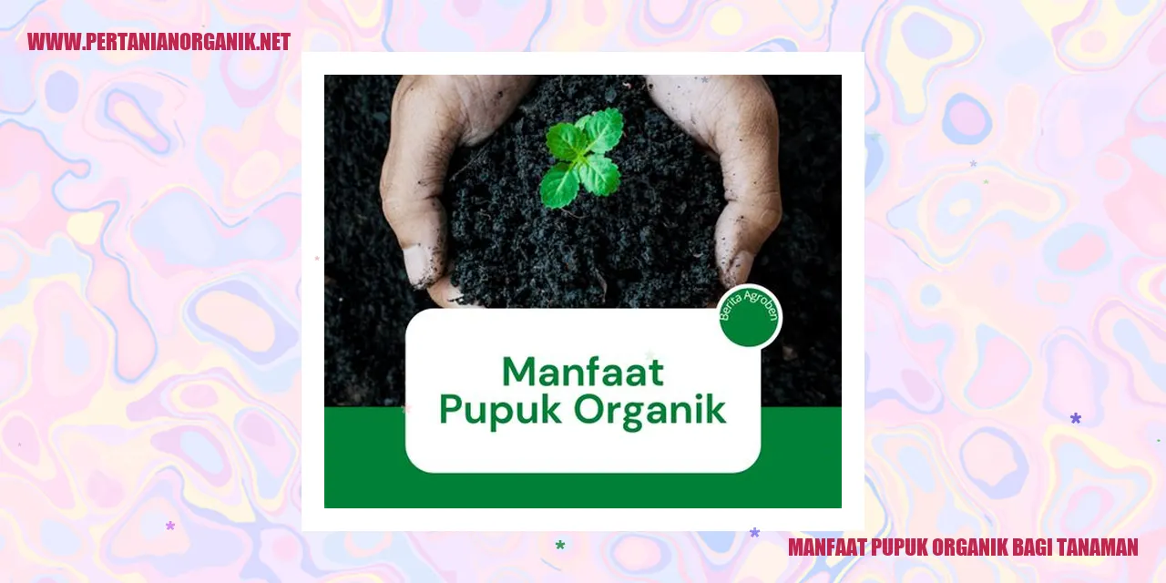 manfaat pupuk organik bagi tanaman