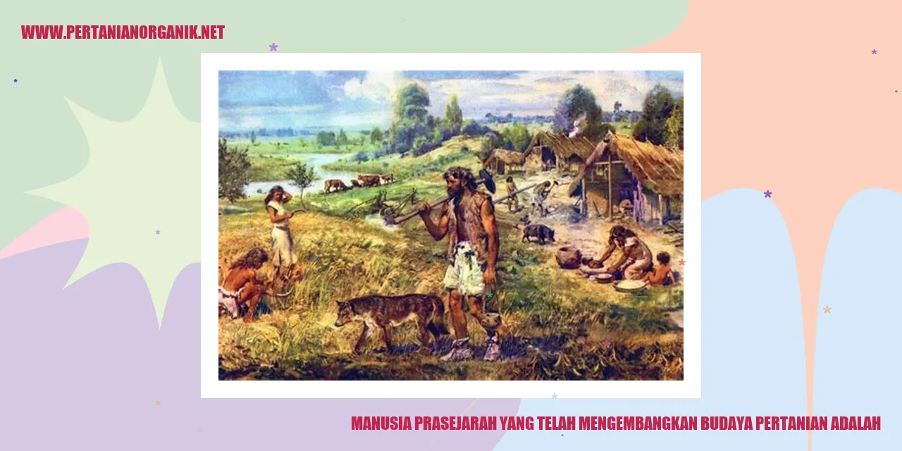 Manusia Prasejarah yang Telah Mengembangkan Budaya Pertanian adalah
