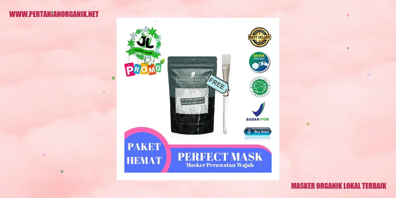 Masker Buah Organik