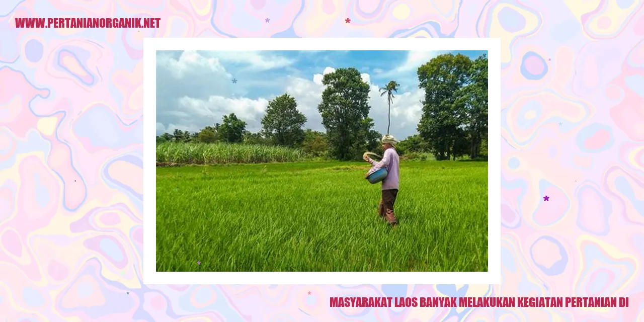 Gambar Pertanian di Laos