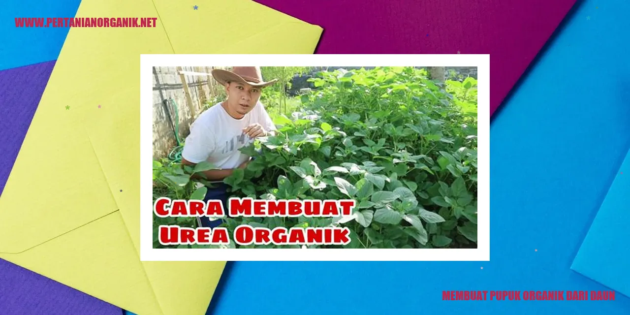 membuat pupuk organik dari daun