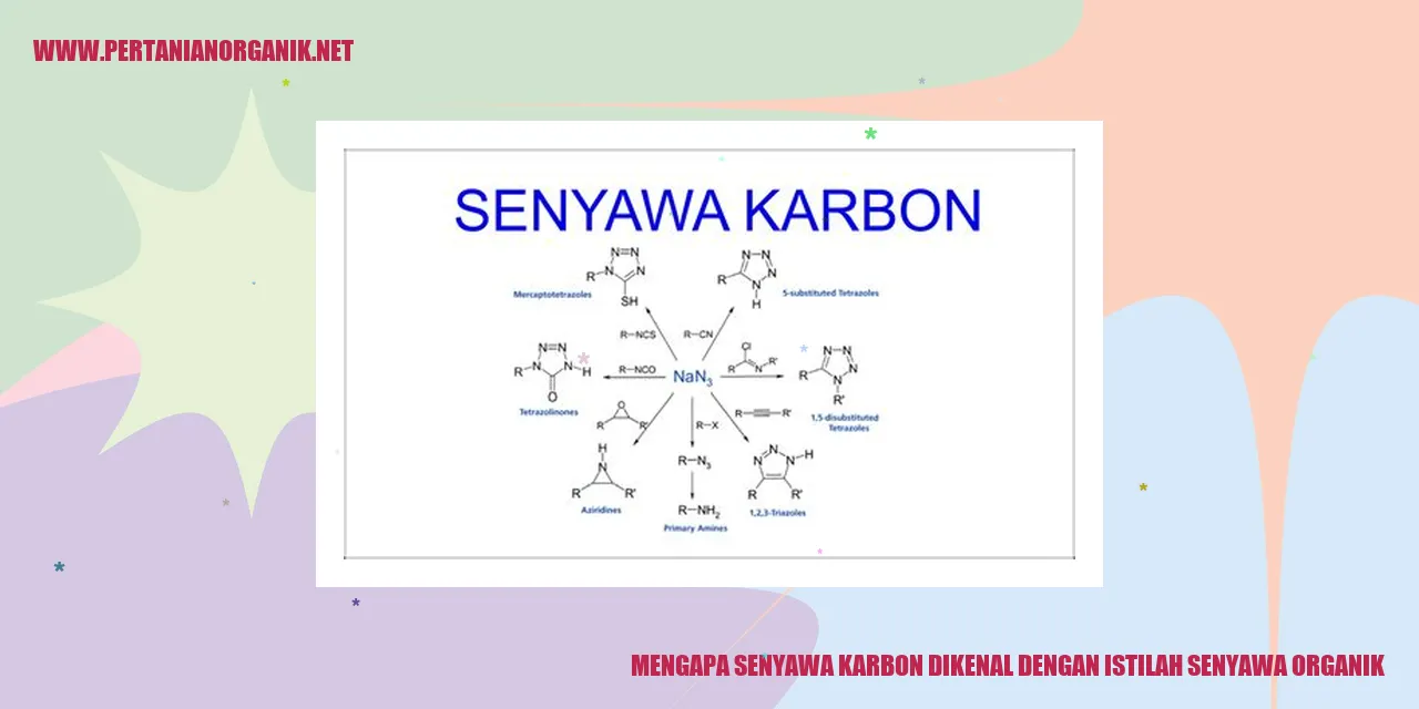 mengapa senyawa karbon dikenal dengan istilah senyawa organik