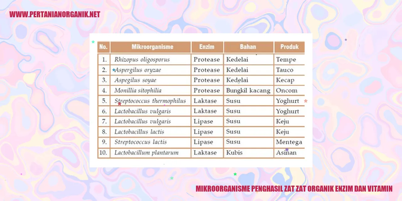 Bakteri