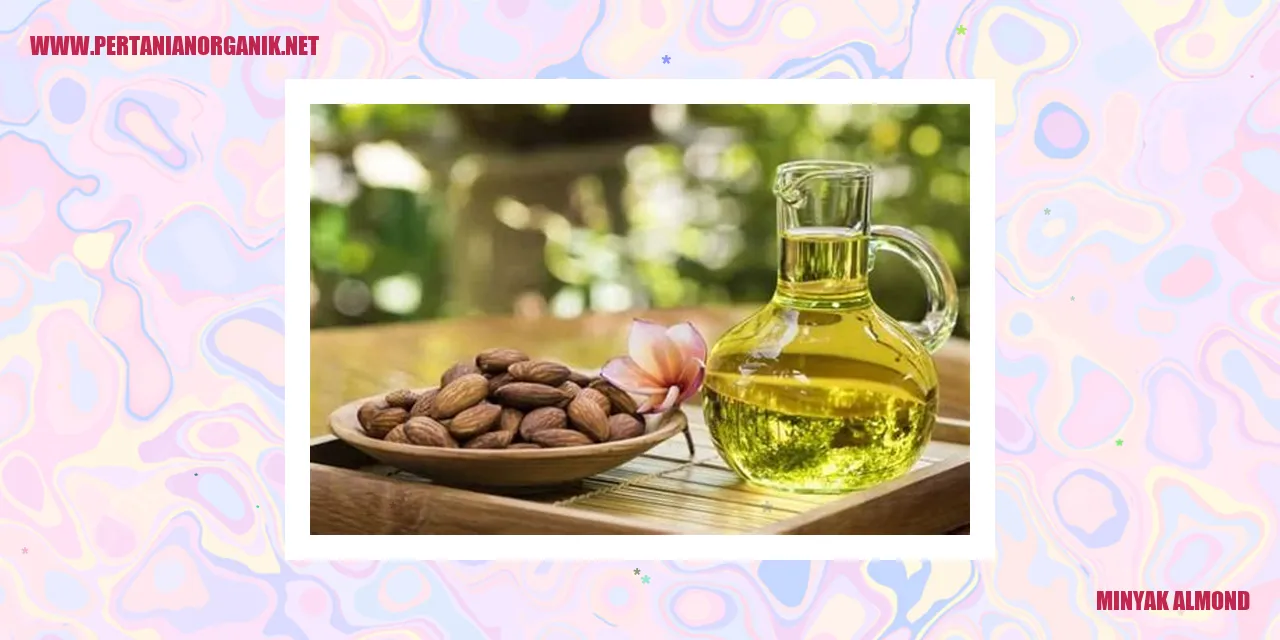 Minyak Almond untuk Perawatan Kulit