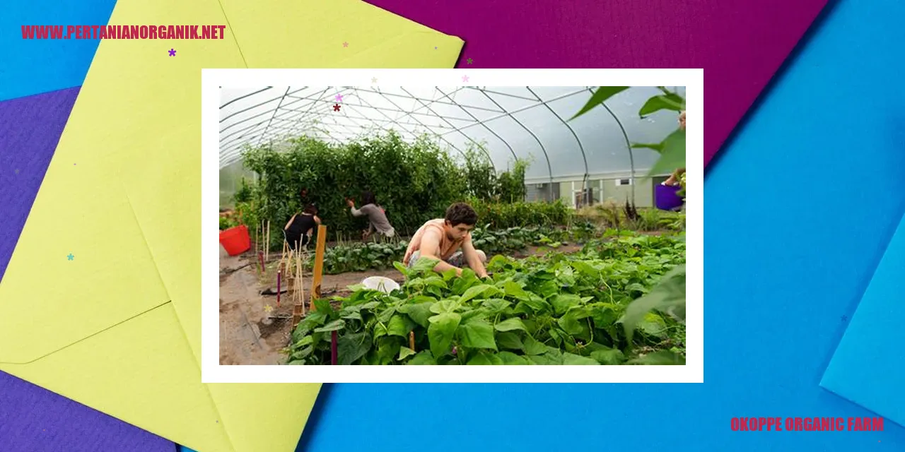 Okoppe Organic Farm