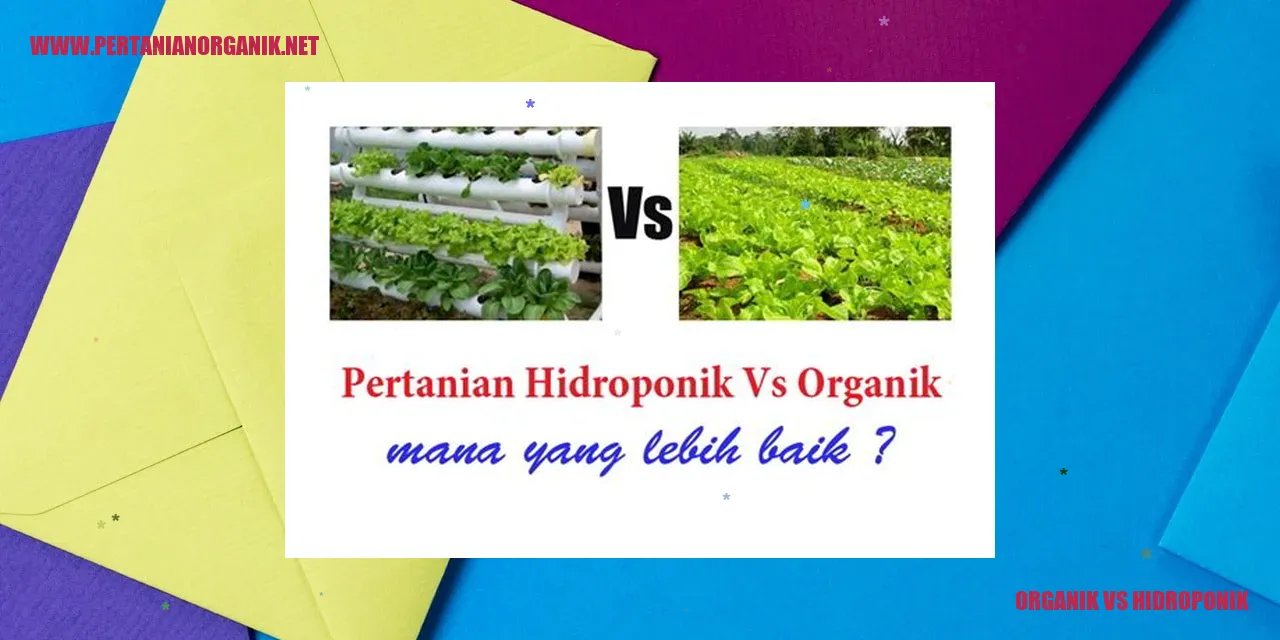 Gambar Organik vs Hidroponik