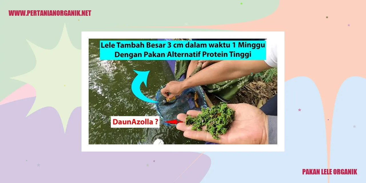 Gambar pakan lele organik