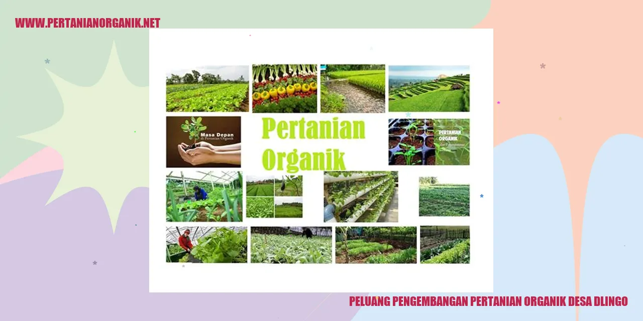 peluang pengembangan pertanian organik desa dlingo