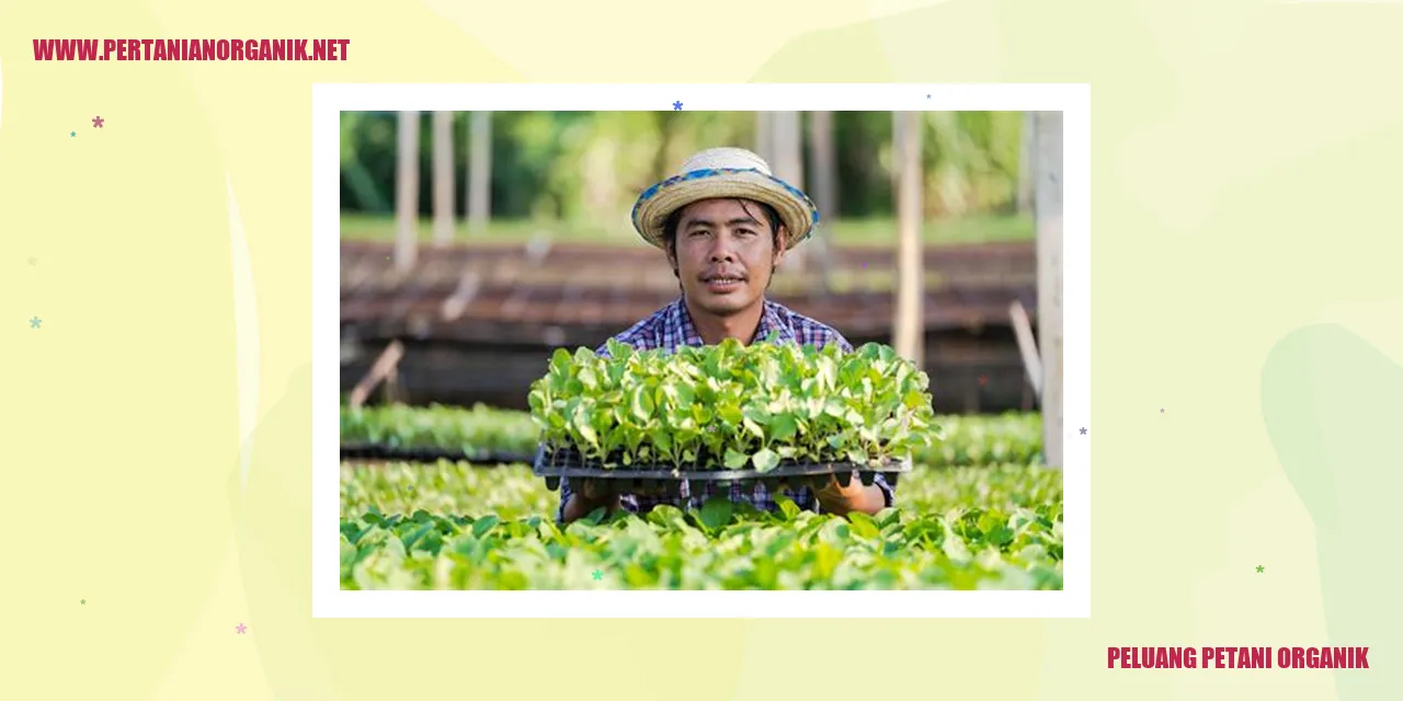 Peluang Petani Organik