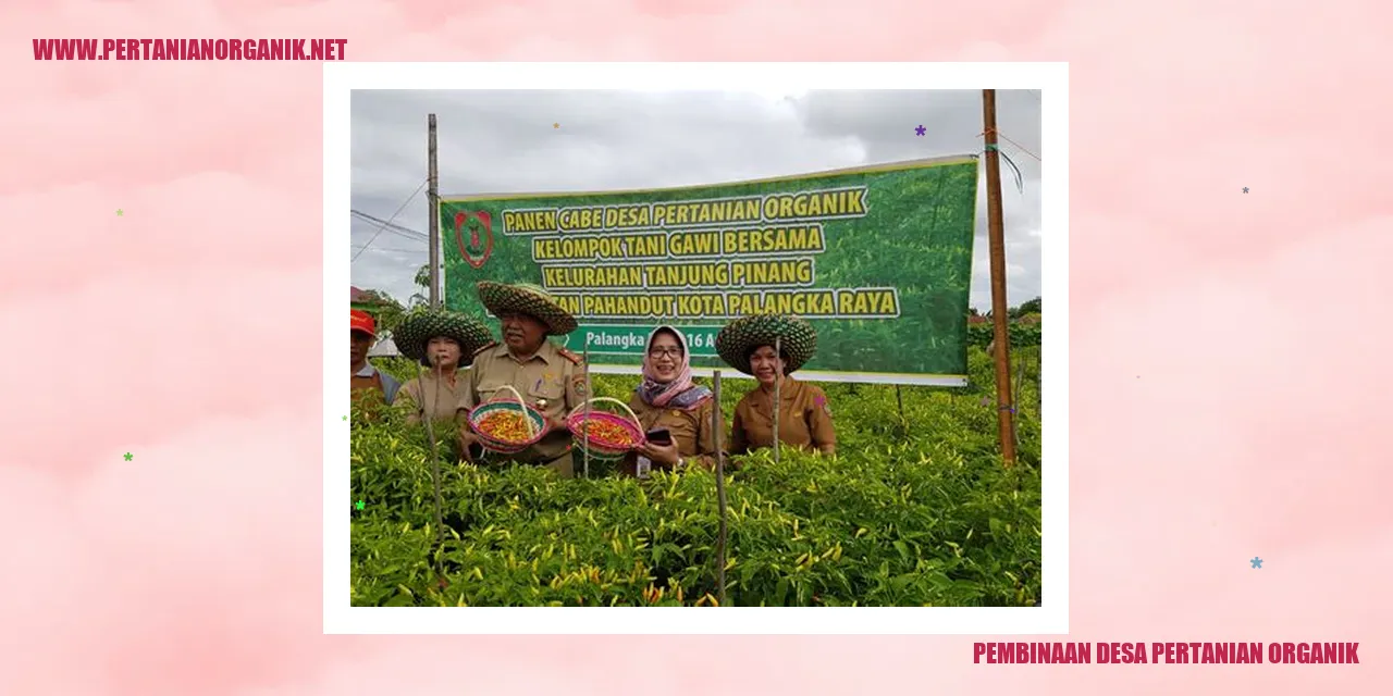 Desa Pertanian Organik