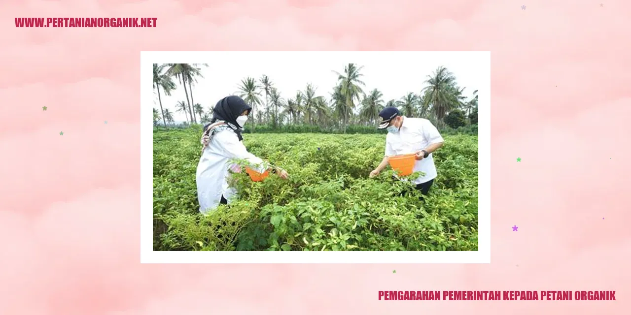 Pemgarahan Pemerintah kepada Petani Organik