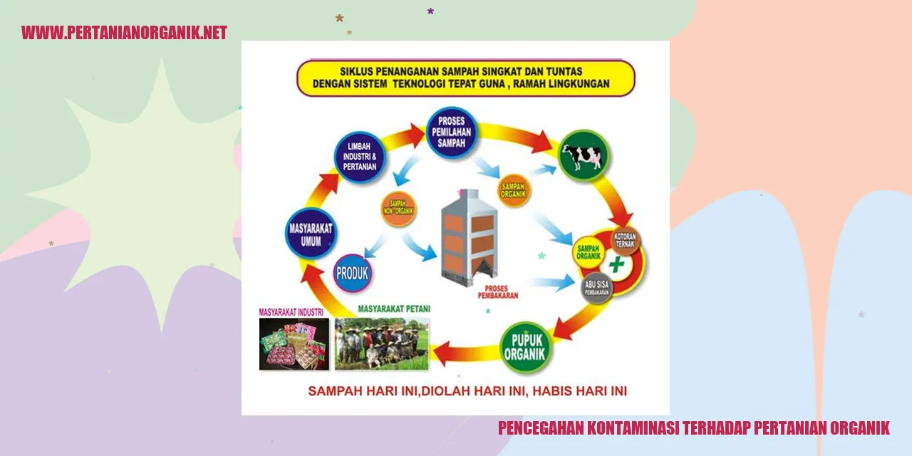 Pemilihan Lokasi yang Tepat
