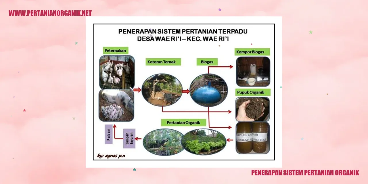 penerapan sistem pertanian organik