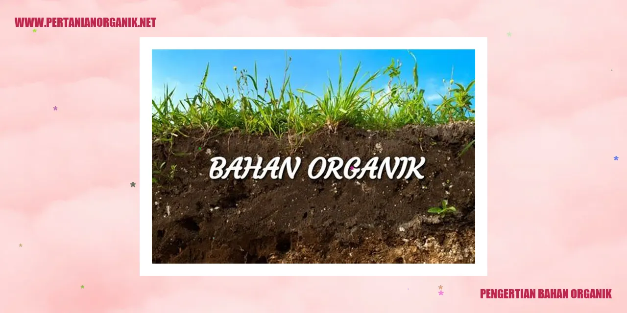 Bahan Organik