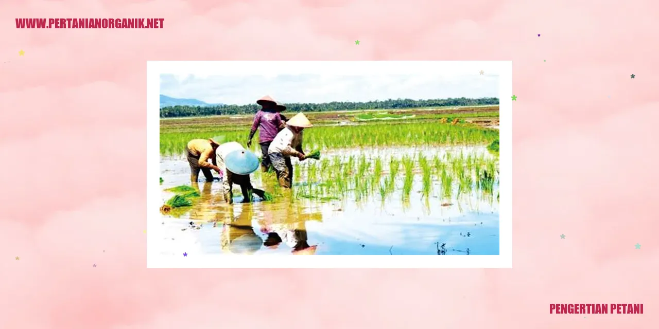 Petani