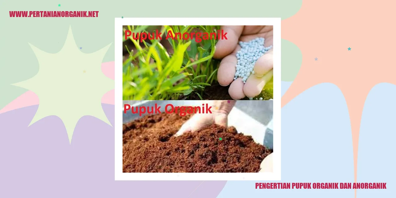 Pupuk Organik dan Anorganik