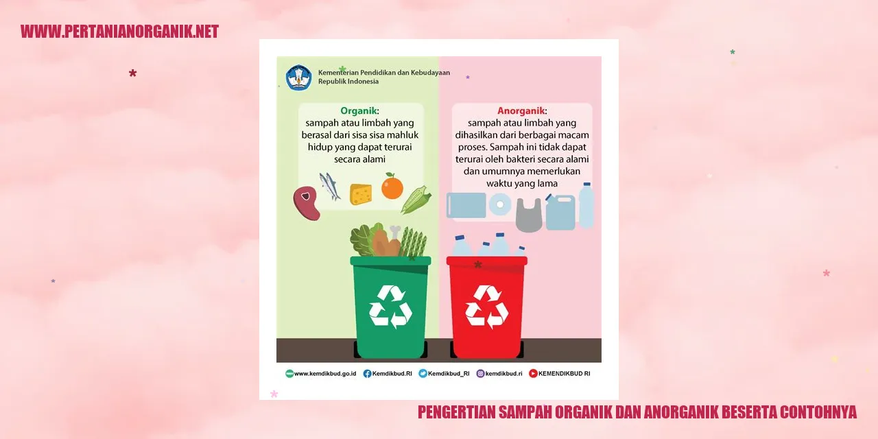 Gambar Sampah Organik dan Anorganik