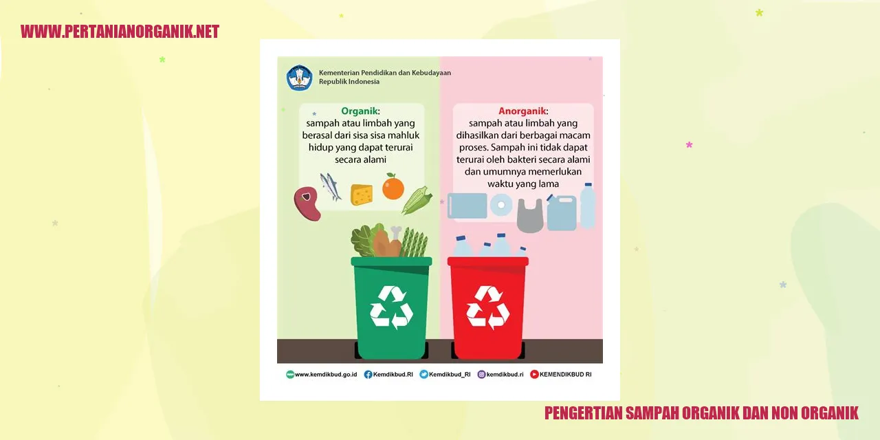 Gambar Sampah Organik dan Non Organik