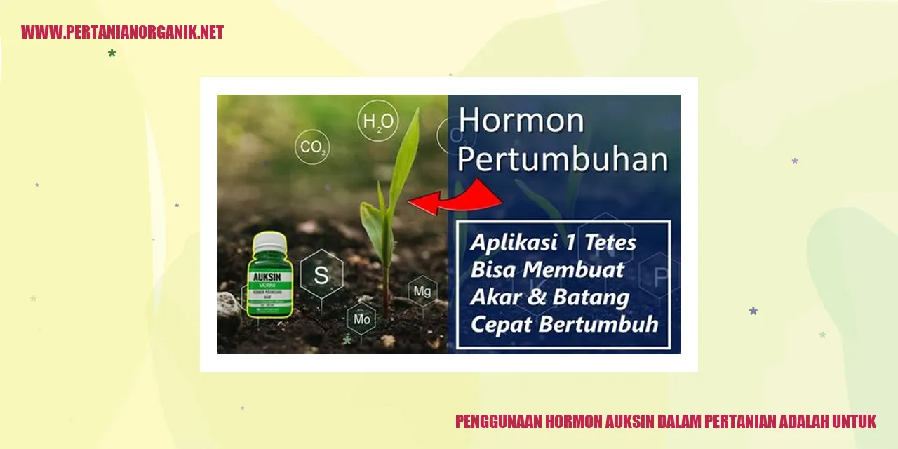 penggunaan hormon auksin dalam pertanian adalah untuk
