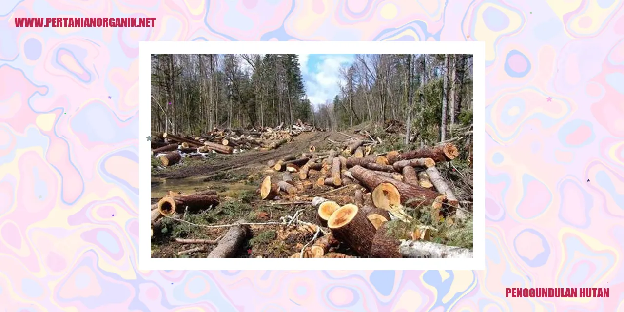 Penggundulan Hutan