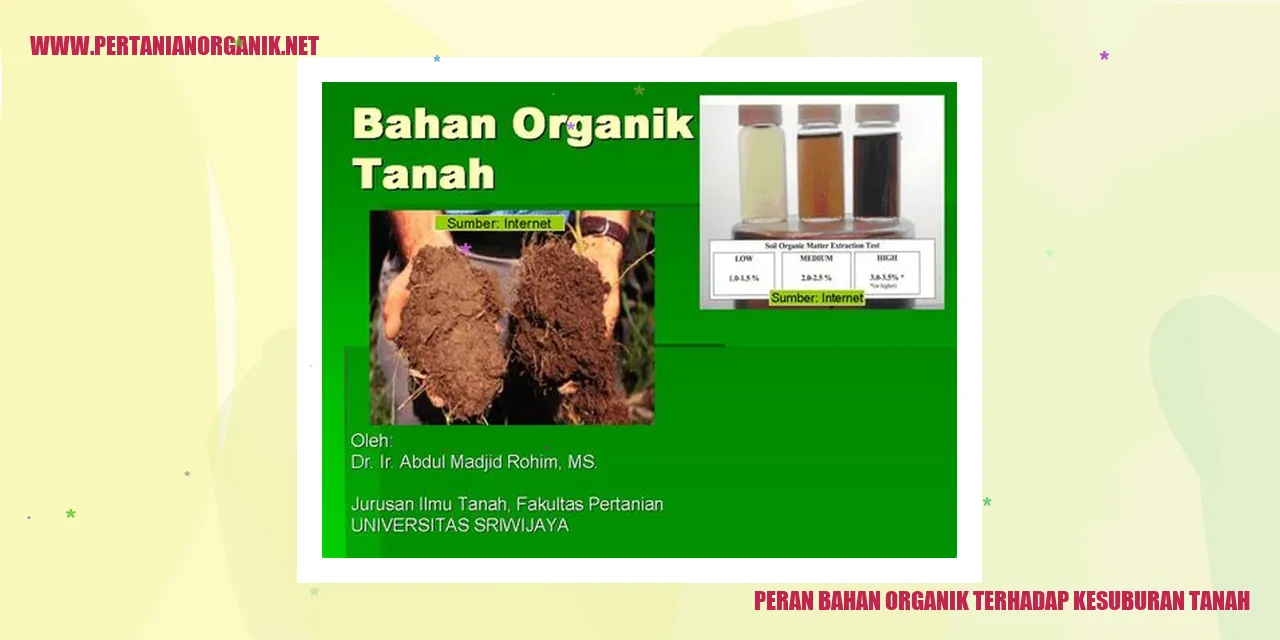 Peran Bahan Organik terhadap Kesuburan Tanah