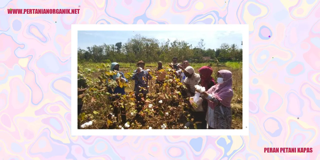 Petani Kapas