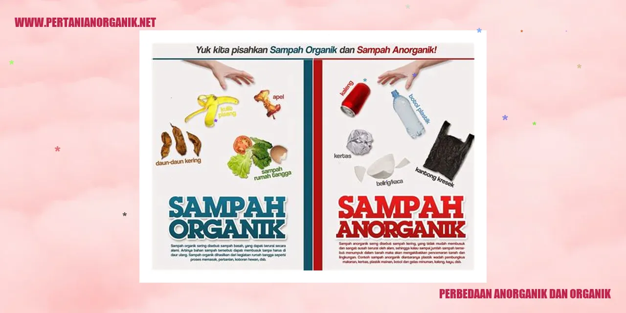 perbedaan anorganik dan organik