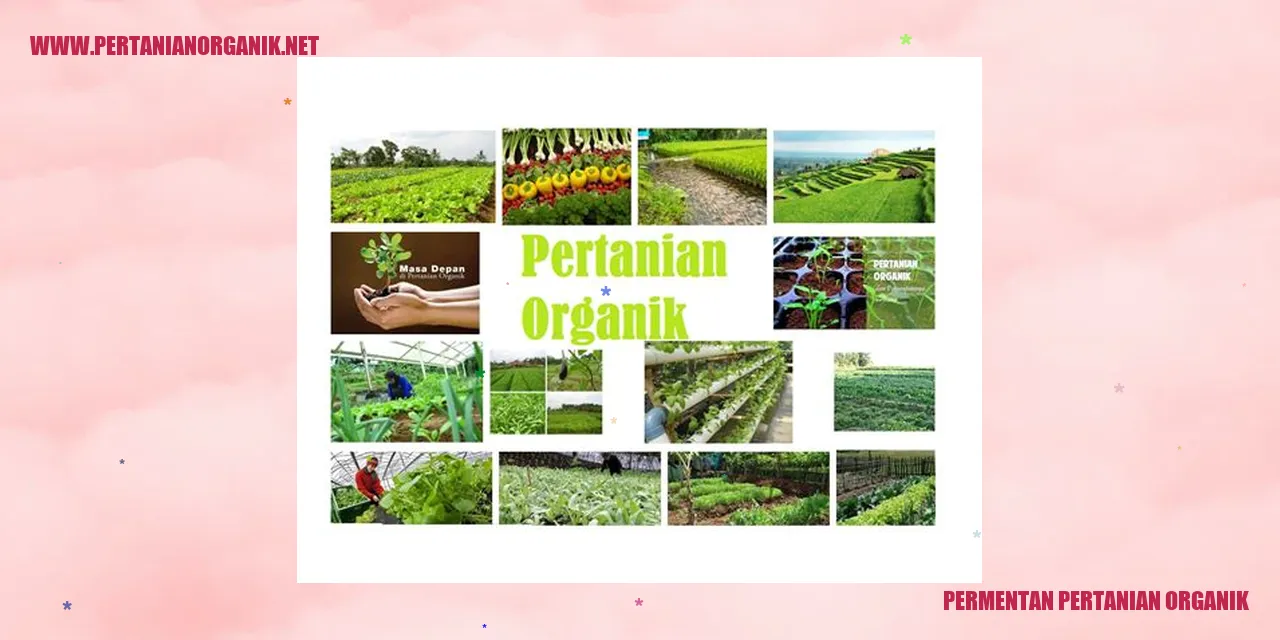 Pertanian Organik