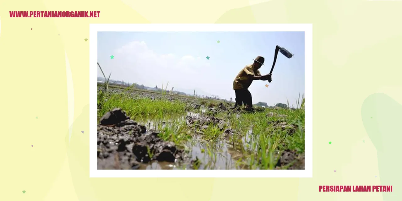 persiapan lahan petani