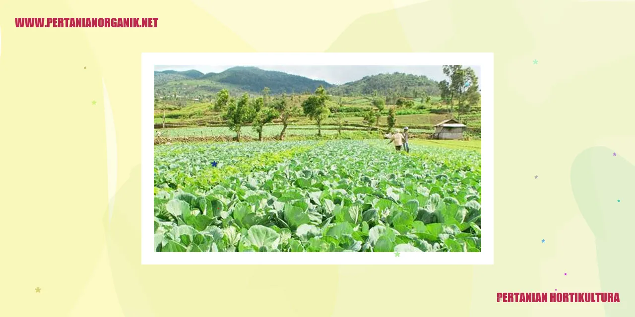 pertanian hortikultura
