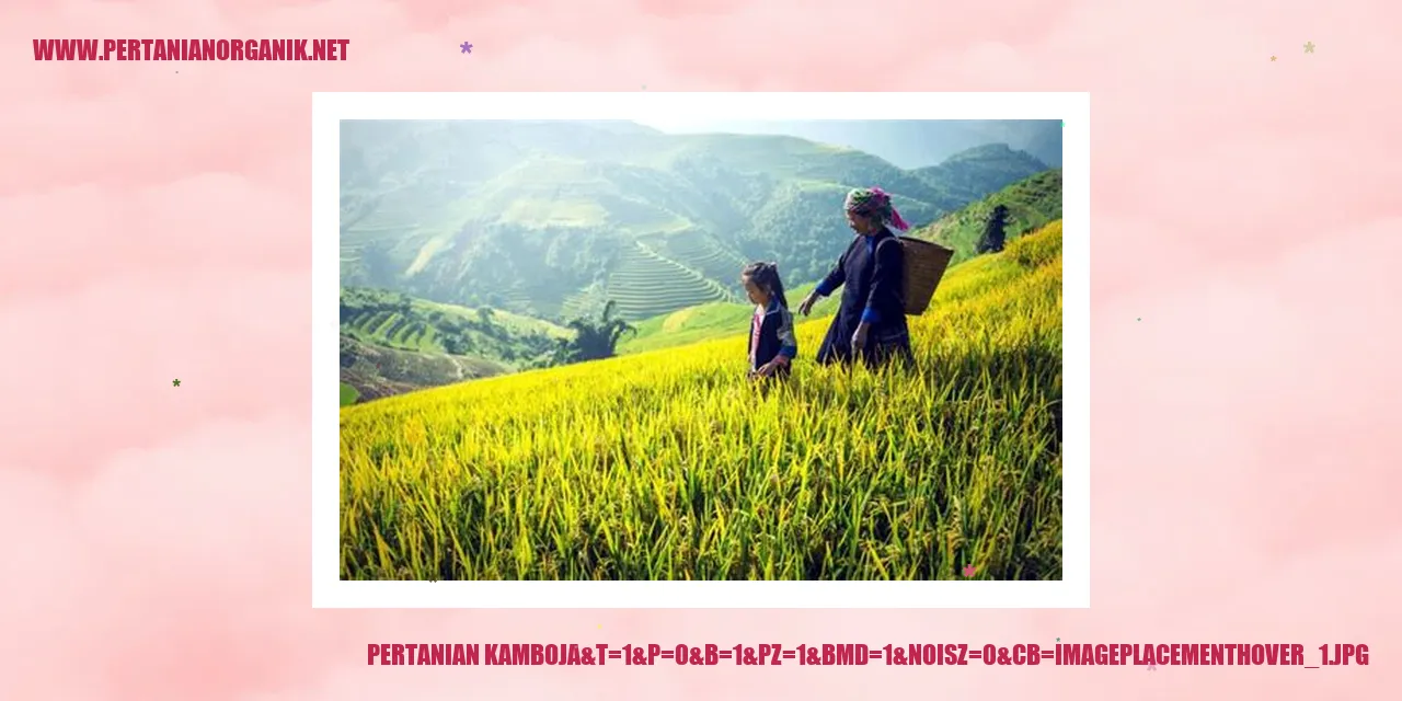 Hasil Pertanian di Kamboja