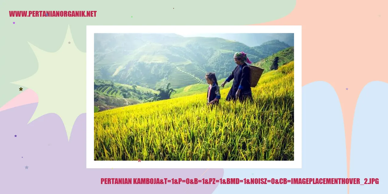 Hortikultura di Kamboja