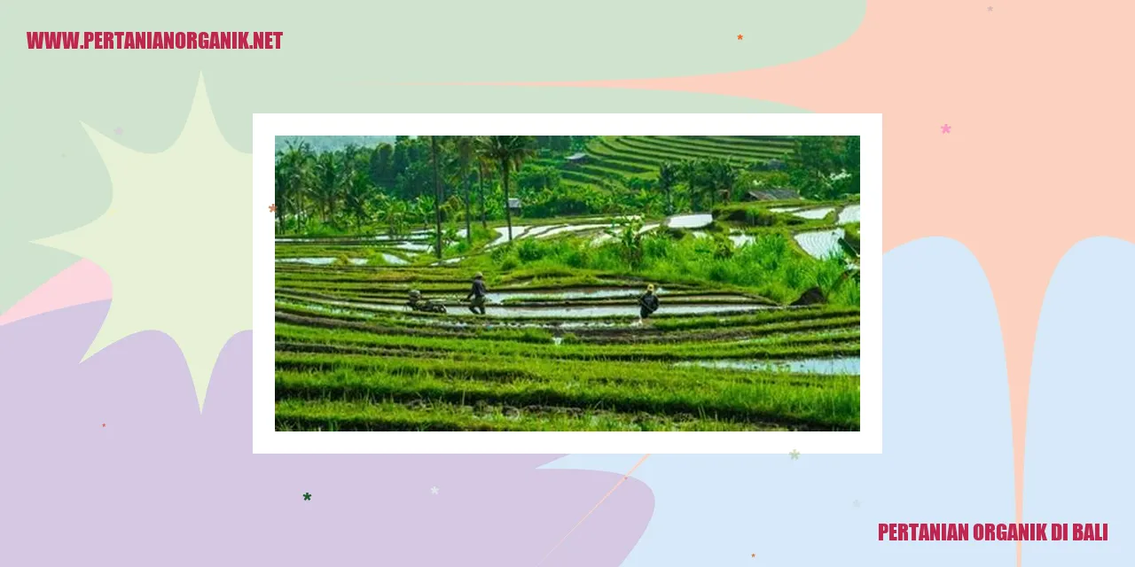 Pertanian Organik di Bali