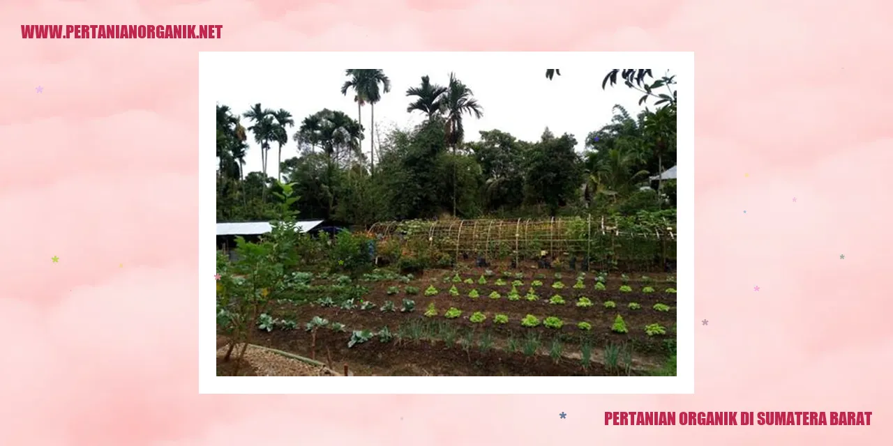 Pertanian Organik di Sumatera Barat