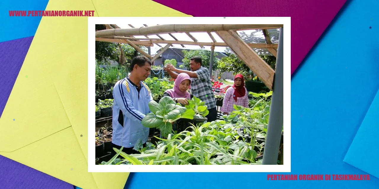 Pertanian Organik di Tasikmalaya