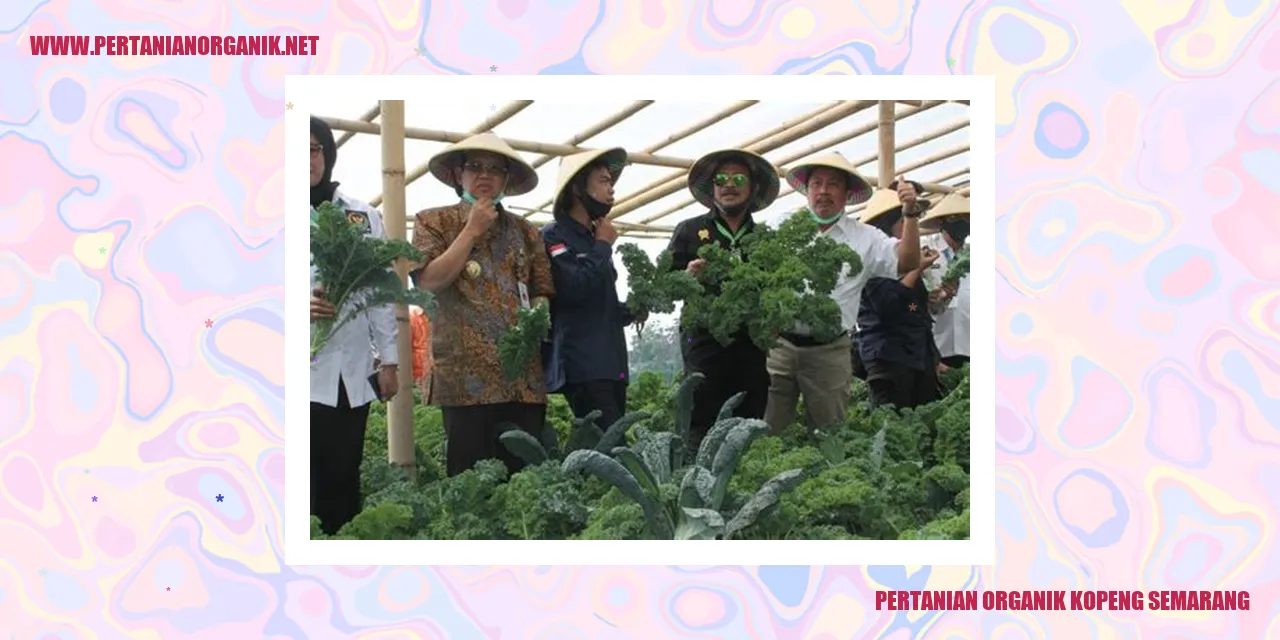 pertanian organik kopeng semarang