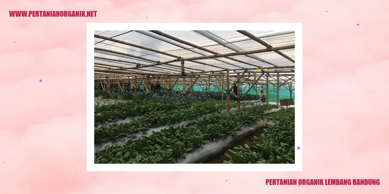 Pertanian Organik di Lembang, Bandung
