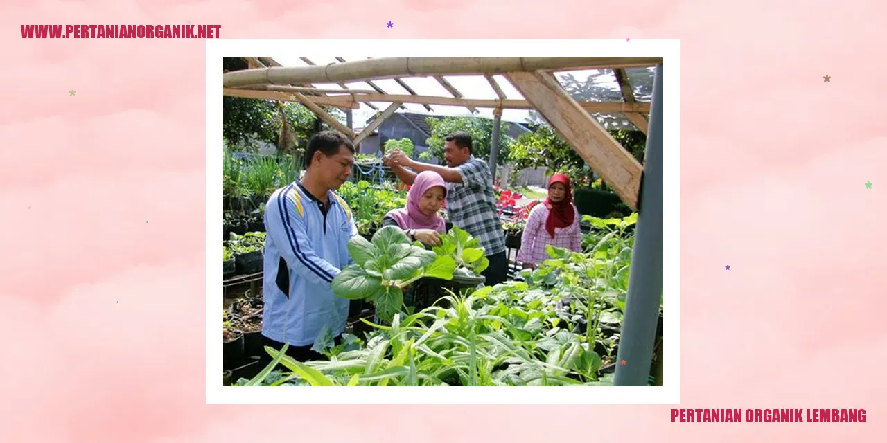 pertanian organik lembang