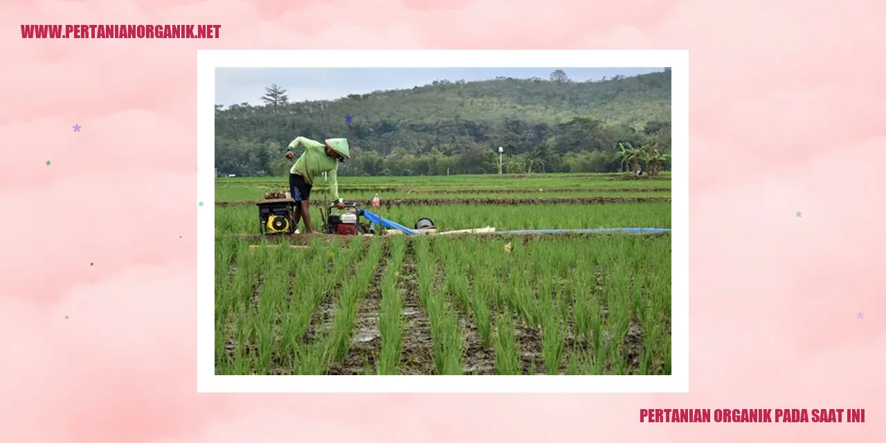 pertanian organik pada saat ini