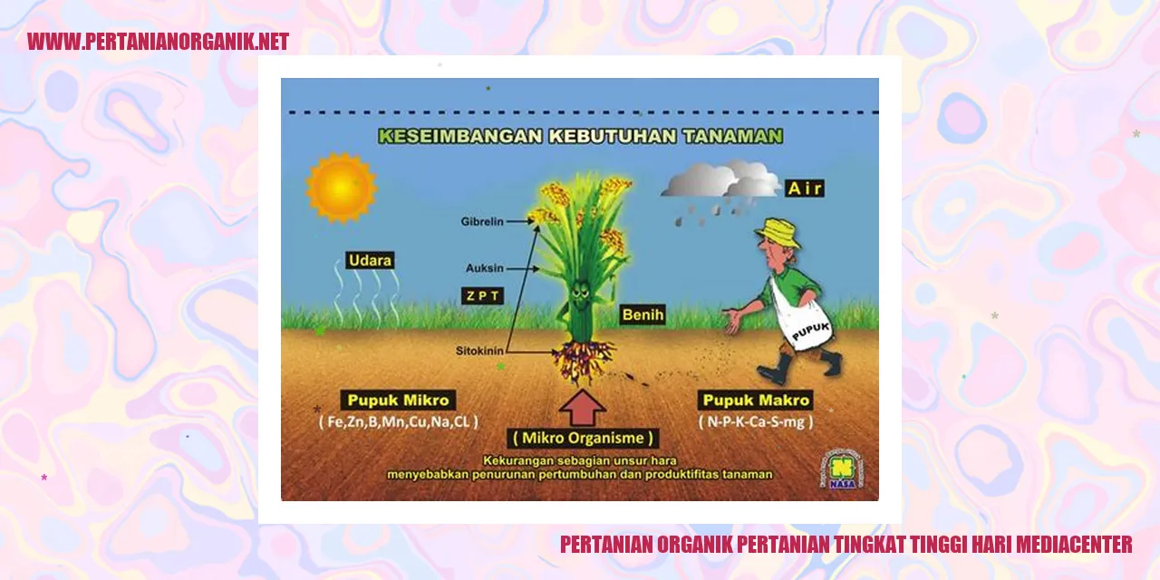 pertanian organik pertanian tingkat tinggi hari mediacenter
