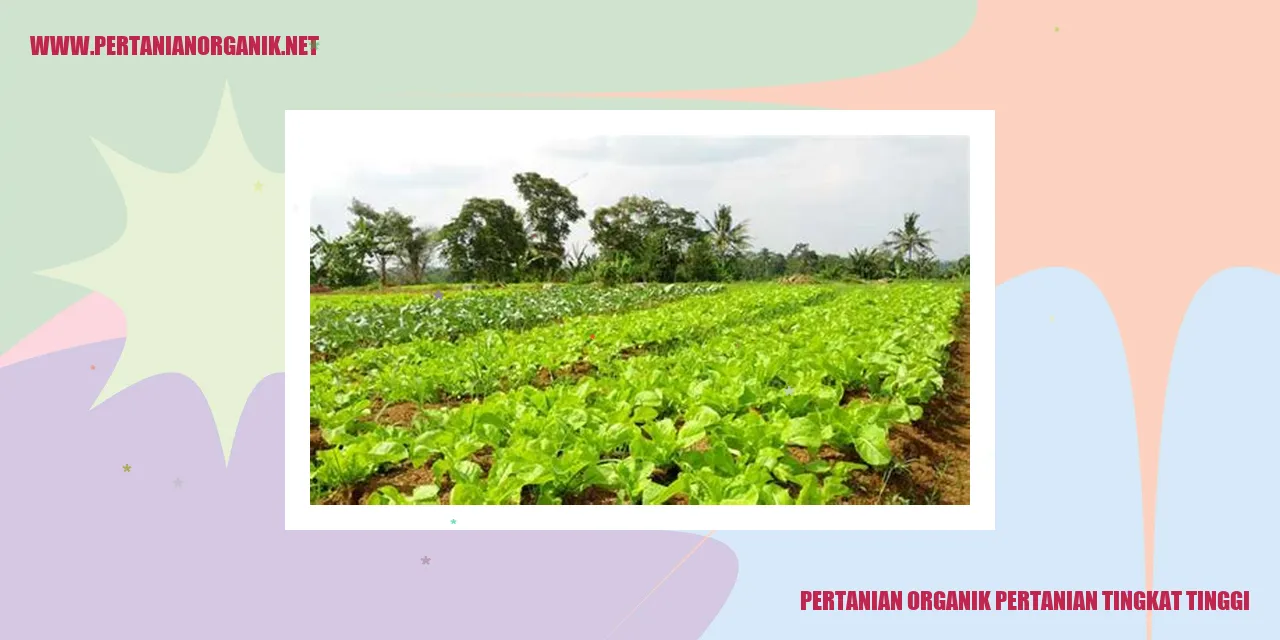 pertanian organik pertanian tingkat tinggi
