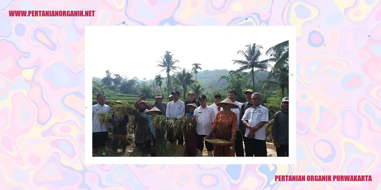 pertanian organik purwakarta