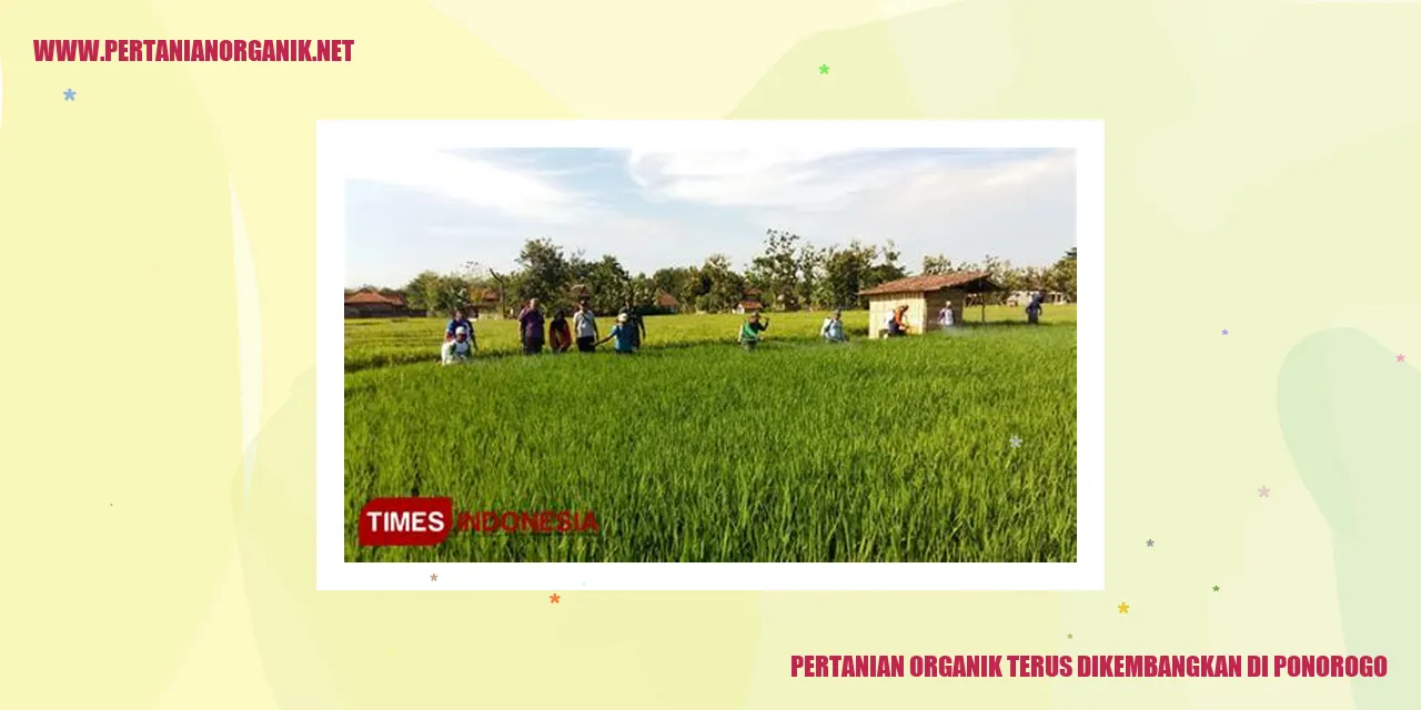 pertanian organik di Ponorogo